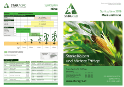 Starke Kolben und höchste Erträge