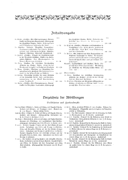 Hohenzollern-Jahrbuch : Forschungen und Abbildungen zur