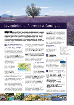 Lavendelblüte: Provence & Camargue