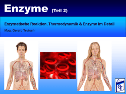 Enzyme (Teil 2) Enzymatische Reaktion, Thermodynamik & Enzyme