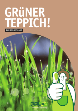 Gr&uuml;ner Teppich!