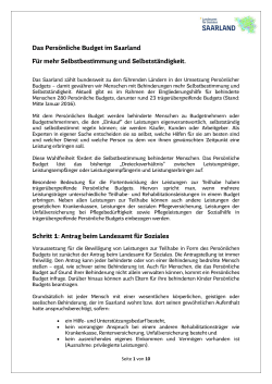 Persönliches Budget im Saarland - Infoblatt