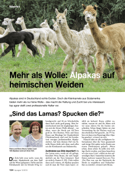 Mehr als Wolle: Alpakas auf heimischen Weiden