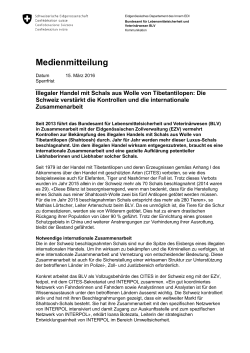 Illegaler Handel mit Schals aus Wolle von Tibetantilopen