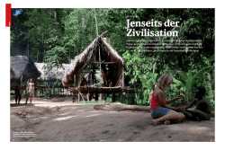 Jenseits der Zivilisation