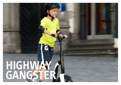 highway gangster