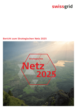 Bericht zum Strategischen Netz 2025