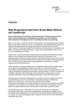 Netz Burgenland setzt beim Smart Meter