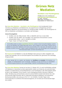 Gr&uuml;nes Netz Mediation