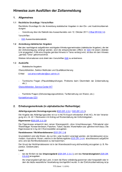 Hinweise zum Ausf&uuml;llen der Zollanmeldung