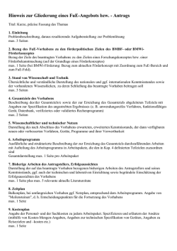 Hinweis zur Gliederung eines FuE-Angebots bzw.