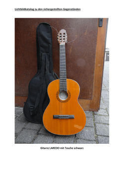 Lichtbildkatalog zu den sichergestellten Gegenständen Gitarre