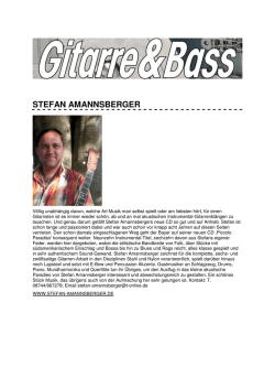 Gitarre und Bass - Stefan Amannsberger