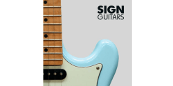 GUITARS