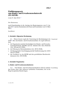 232.3 Einführungsgesetz zum Kindes