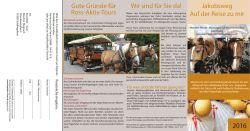 Jakobsweg Auf der Reise zu mir Gute Gr&uuml;nde f&uuml;r Ross-Aktiv