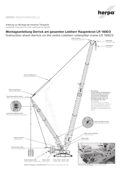 Montageanleitung Derrick am gesamten Liebherr Raupenkran LR