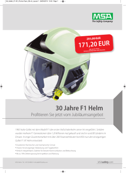 171,20 EUR 30 Jahre F1 Helm