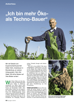 Diesen Beitrag als PDF herunterladen