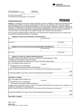 R0666 Internetformular Deutsche Rentenversicherung