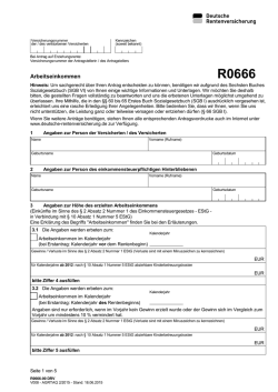 R0666 Internetformular Deutsche Rentenversicherung