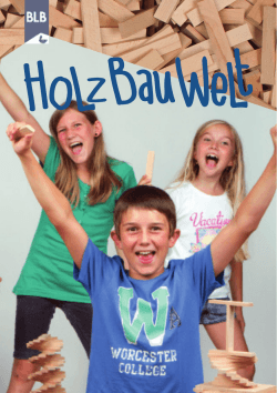 Info-Flyer HolzBauWelt (2,1 MiB)
