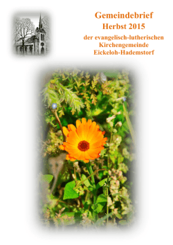 Gemeindebrief - Kirchengemeinde Eickeloh