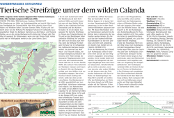 Tierische Streifzüge unter dem wilden Calanda
