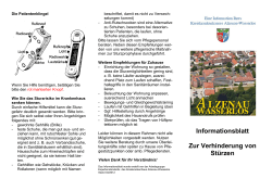 Informationsblatt Sturzprophylaxe