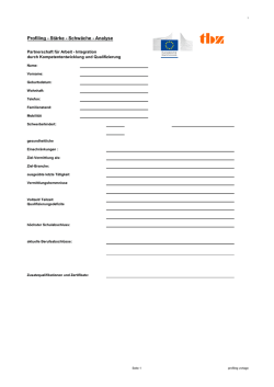 Profiling - Stärke - Schwäche