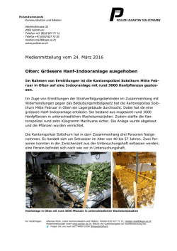 Gr&ouml;ssere Hanf-Indooranlage ausgehoben