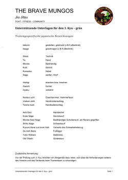 Jiu Theorie Trainingsbehelf 3.Kyu