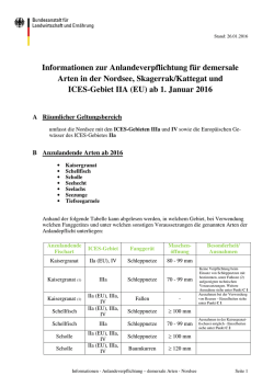 Informationen zur Anlandeverpflichtung für demersale Arten in