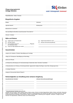 Formular Pflegeverlegungsbericht