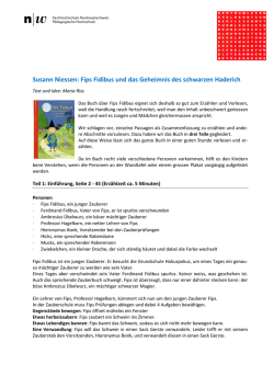 Susann Niessen: Fips Fidibus und das Geheimnis des schwarzen