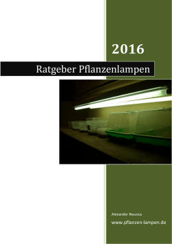 Ratgeber Pflanzenlampen 2013 - Pflanzen