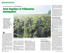 Jetzt Ungr&auml;ser in Fr&uuml;hsaaten bek&auml;mpfen! Jetzt Ungr&auml;ser in
