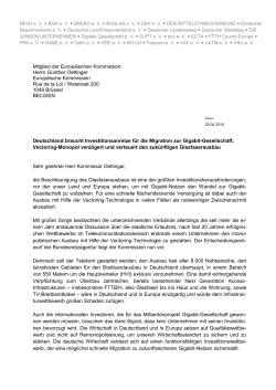 Sehr geehrter Herr Kommissar Oettinger, die Beschleunigung des