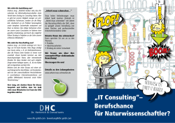 IT Consulting