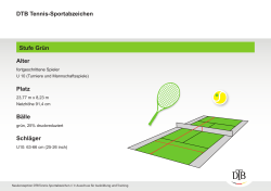 Alter Platz Bälle Schläger Stufe Grün DTB Tennis