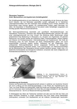 Hintergrundinformationen: Biologie (Sek II)