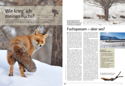 Drei Wege zur Beute
