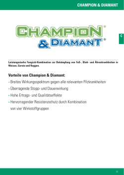 CHAMPION & DIAMANT Vorteile von Champion & Diamant: · Breites