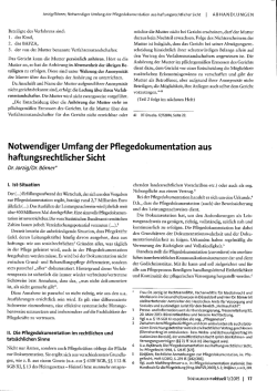Jorzig/B&ouml;rner, NotWendiger Umfang der Pflegedokumentation aus