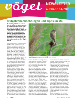 Newsletter - Vögel - Magazin für Vogelbeobachtung