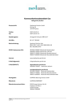 Anlage 1_Kommunikationsdatenblatt Gas_2015_10_01