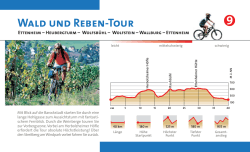 Ettenheim MTB-Tour 9