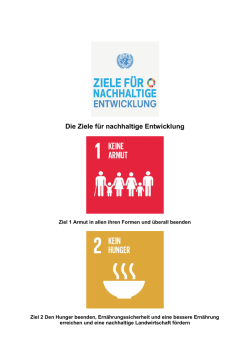 Die Ziele f&uuml;r nachhaltige Entwicklung