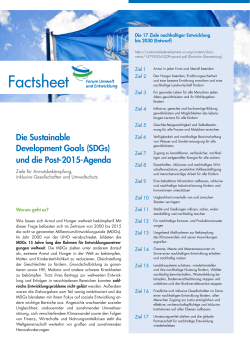 Factsheet - Forum Umwelt & Entwicklung