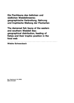 Die Fischfauna des 6stlichen und sÅ¸dliche Weddellmeeres